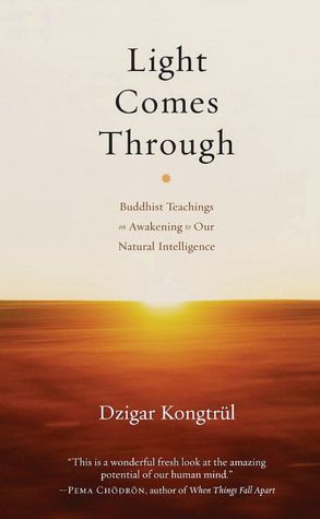 Light Comes Through: Buddhist Teachings on 