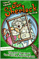 The Art Teacher's Vanishing Masterpiece (Joe Sherlock, Kid Detective, Case Series #5)