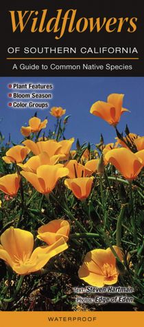 Wildflowers of Southern California: A Guide to Common and Notable Species