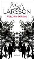 Aurora boreal