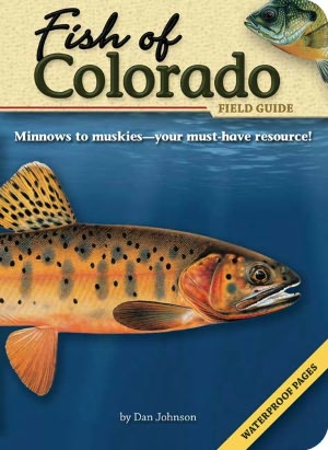 Fish of Colorado Field Guide