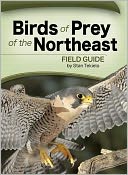 Birds of Prey of the Northeast Field Guide