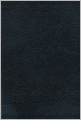 The King James Study Bible
