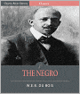 The Negro (Illustrated)
