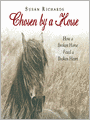 Chosen by a Horse: How a Broken Horse Fixed a Broken Heart