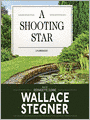 A Shooting Star