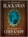 Black Swan: Sam Acquillo Hamptons Mystery Series, Book 5