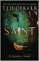 Saint (Paradise Series #2)