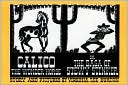 Calico the Wonder Horse, or the Saga of Stewy Stinker