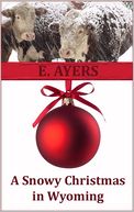 A Snowy Christmas in Wyoming (Contemporary Romance)