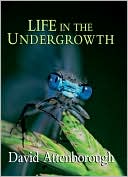 Life in the Undergrowth