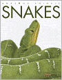 Amazing Animals: Snakes