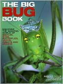 Big Bug Book by Barbara Taylor: Book Cover