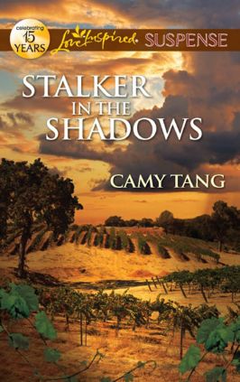 Stalker in the Shadows (Love Inspired Suspense Series)