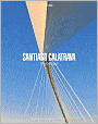 Santiago Calatrava: The Bridges