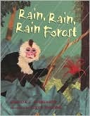 Rain Rain Forest