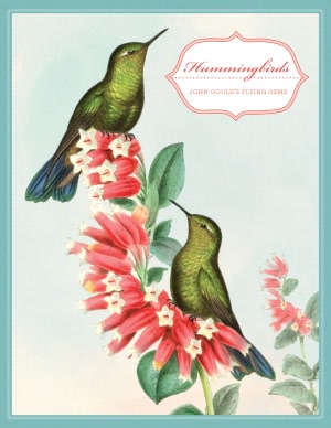 Hummingbirds from the Natural History Museum Note Card Set of 16