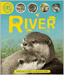 Life Cycles: River