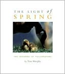 Light of Spring: The Seasons of Yellowstone