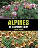 Alpines: An Essential Guide