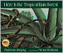Here Is the Tropical Rain Forest