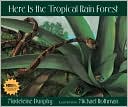 Here Is the Tropical Rain Forest