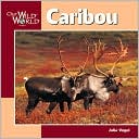 Caribou