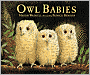 Owl Babies