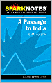 A Passage to India (SparkNotes Literature Guide Series)