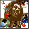 Marley Magic: Live in Central Park at Summerstage