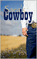 Sara's Cowboy