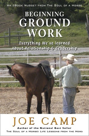 BEGINNING GROUND WORK: Everything We’ve Learned about Relationship & Leadership: Another eBook Nugget from The Soul of a Horse