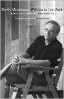Writing in the Dark: Essays on Literature and Politics