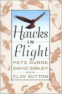 Hawks in Flight: The Flight Identification of North American Migrant Raptors