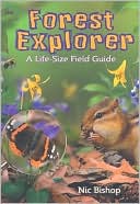 Forest Explorer: A Life-Sized Field Guide