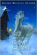 Gib And The Gray Ghost