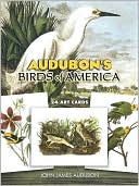 Audubon's Birds of America: 24 Art Cards