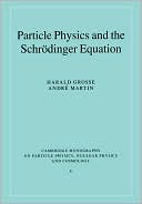 Particle Physics and the Schrodinger Equation