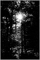 A Voyage in the 'Sunbeam' (Illustrated)