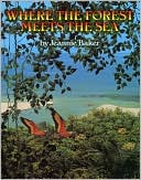Where the Forest Meets the Sea