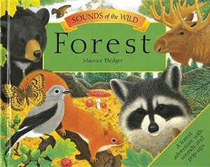 Sounds of the Wild: Forest