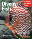 Discus Fish
