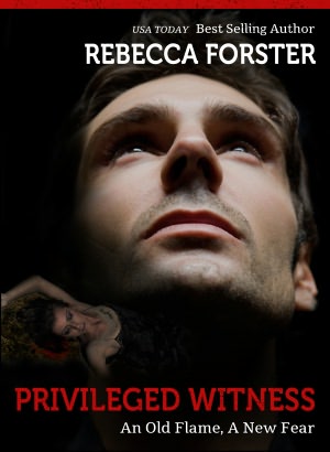 Privileged Witness (thriller, legal thriller)