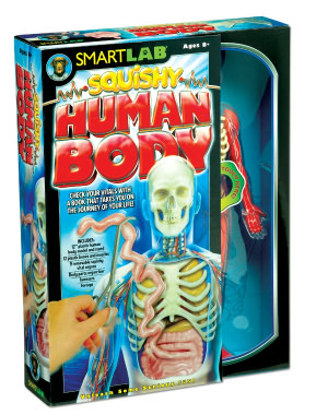 SmartLab You Explore It Human Body: With Squishy Insides!
