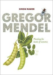 gregor mendels inheritance patterns gregor mendels inheritance patterns