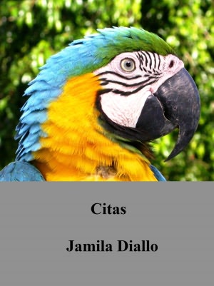 Citas