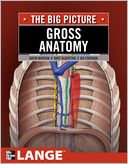 Gross Anatomy: The Big Picture