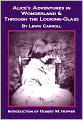 Alice's Adventures in Wonderland and Through the Looking-Glass (Nook Illustrated Edition)
