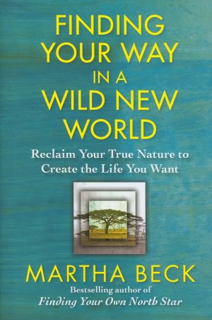 Finding Your Way in a Wild New World: Reclaim Your True Nature to Create the Life You Want