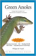 Green Anoles: From the Experts at Advanced Vivarium Systems